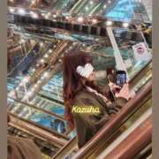 ヒメ日記 2025/11/28 02:37 投稿 かずは トマトなび