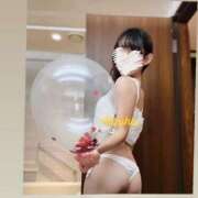 ヒメ日記 2025/11/28 13:51 投稿 かずは トマトなび