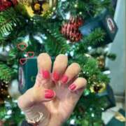 ヒメ日記 2025/12/10 00:53 投稿 かずは トマトなび