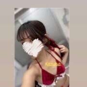 ヒメ日記 2025/12/16 19:28 投稿 かずは トマトなび