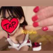 ヒメ日記 2025/12/19 10:01 投稿 かずは トマトなび