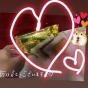 ヒメ日記 2025/12/21 03:47 投稿 かずは トマトなび