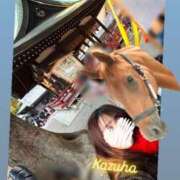 ヒメ日記 2026/01/02 00:56 投稿 かずは トマトなび