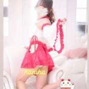 ヒメ日記 2026/01/03 13:30 投稿 かずは トマトなび