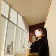 ヒメ日記 2026/01/23 11:00 投稿 かずは トマトなび