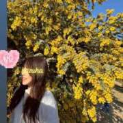 ヒメ日記 2026/03/15 11:12 投稿 かずは トマトなび