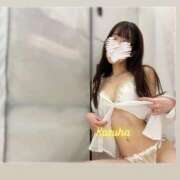 ヒメ日記 2026/03/19 02:42 投稿 かずは トマトなび