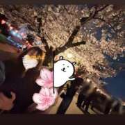 ヒメ日記 2026/03/31 13:22 投稿 かずは トマトなび