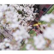 ヒメ日記 2026/04/01 16:29 投稿 かずは トマトなび