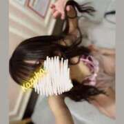 ヒメ日記 2026/04/02 21:08 投稿 かずは トマトなび