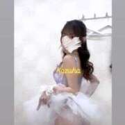 ヒメ日記 2026/04/17 22:57 投稿 かずは トマトなび