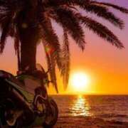 ヒメ日記 2025/03/12 23:23 投稿 あんじゅ 妻天 京橋店