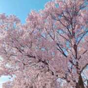 ヒメ日記 2025/04/30 00:54 投稿 あんじゅ 妻天 京橋店