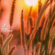 ヒメ日記 2025/06/24 03:58 投稿 あんじゅ 妻天 京橋店