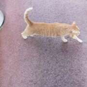 ヒメ日記 2025/07/13 18:04 投稿 あんじゅ 妻天 京橋店