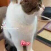 ヒメ日記 2025/07/13 23:22 投稿 あんじゅ 妻天 京橋店