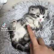 ヒメ日記 2025/07/16 22:41 投稿 あんじゅ 妻天 京橋店