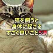 ヒメ日記 2025/08/07 13:21 投稿 あんじゅ 妻天 京橋店