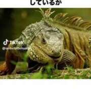 ヒメ日記 2025/08/07 21:21 投稿 あんじゅ 妻天 京橋店