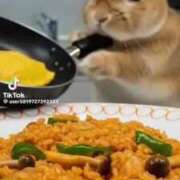 ヒメ日記 2025/08/15 17:57 投稿 あんじゅ 妻天 京橋店