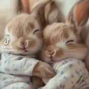 ヒメ日記 2025/08/21 00:47 投稿 あんじゅ 妻天 京橋店