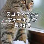 ヒメ日記 2025/08/24 05:17 投稿 あんじゅ 妻天 京橋店