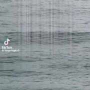 ヒメ日記 2025/08/25 23:37 投稿 あんじゅ 妻天 京橋店