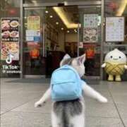 ヒメ日記 2025/08/29 14:47 投稿 あんじゅ 妻天 京橋店