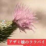 ヒメ日記 2025/08/30 11:10 投稿 あんじゅ 妻天 京橋店