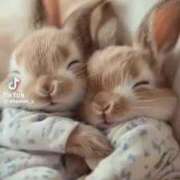 ヒメ日記 2025/09/02 11:17 投稿 あんじゅ 妻天 京橋店