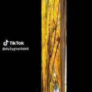 ヒメ日記 2025/09/18 13:38 投稿 あんじゅ 妻天 京橋店