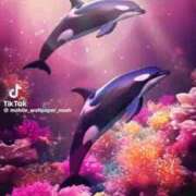 ヒメ日記 2025/10/03 16:18 投稿 あんじゅ 妻天 京橋店