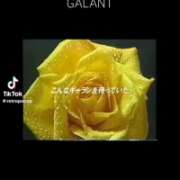 ヒメ日記 2026/02/12 20:12 投稿 あんじゅ 妻天 京橋店