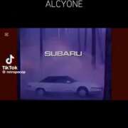 ヒメ日記 2026/02/13 20:54 投稿 あんじゅ 妻天 京橋店