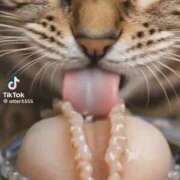 ヒメ日記 2026/03/25 13:24 投稿 あんじゅ 妻天 京橋店