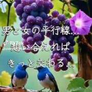 ヒメ日記 2026/04/08 15:44 投稿 あんじゅ 妻天 京橋店