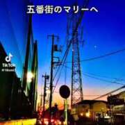 ヒメ日記 2026/05/14 19:14 投稿 あんじゅ 妻天 京橋店