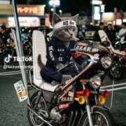 ヒメ日記 2026/09/01 21:04 投稿 あんじゅ 妻天 京橋店