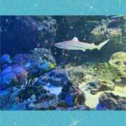 ヒメ日記 2025/02/21 12:35 投稿 あずさ 人妻倶楽部内緒の関係 春日部店