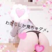 ヒメ日記 2025/03/25 09:35 投稿 あずさ 人妻倶楽部内緒の関係 春日部店