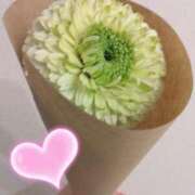 ヒメ日記 2025/02/28 16:05 投稿 まりか 出会い系人妻ネットワーク さいたま～大宮編