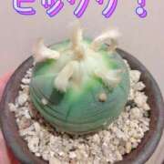 ヒメ日記 2025/07/17 16:42 投稿 まりか 出会い系人妻ネットワーク さいたま～大宮編