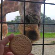 ヒメ日記 2026/07/13 14:34 投稿 まりか 出会い系人妻ネットワーク 春日部〜岩槻編