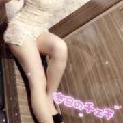 ヒメ日記 2025/04/28 19:33 投稿 岩本とき 厚木OL委員会