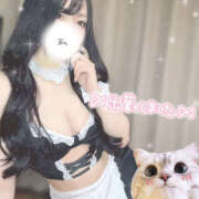 ヒメ日記 2025/09/09 14:33 投稿 岩本とき 厚木OL委員会