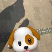 ヒメ日記 2026/01/25 11:48 投稿 天音ゆあ 大阪ニューハーフヘルス ルピナスハーフ梅田