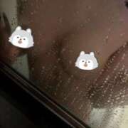 ヒメ日記 2026/03/22 13:18 投稿 天音ゆあ 大阪ニューハーフヘルス ルピナスハーフ梅田