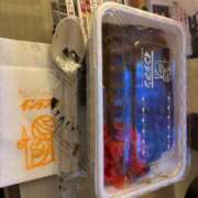 ヒメ日記 2026/01/16 16:49 投稿 こむぎ 帯広黒い金魚