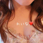 ヒメ日記 2026/02/21 12:40 投稿 れいな 奥鉄オクテツ奈良