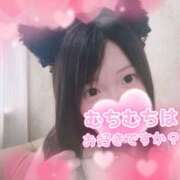 ヒメ日記 2025/06/25 11:09 投稿 あすか 大和人妻城